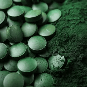 jointvive™-ingredients-5